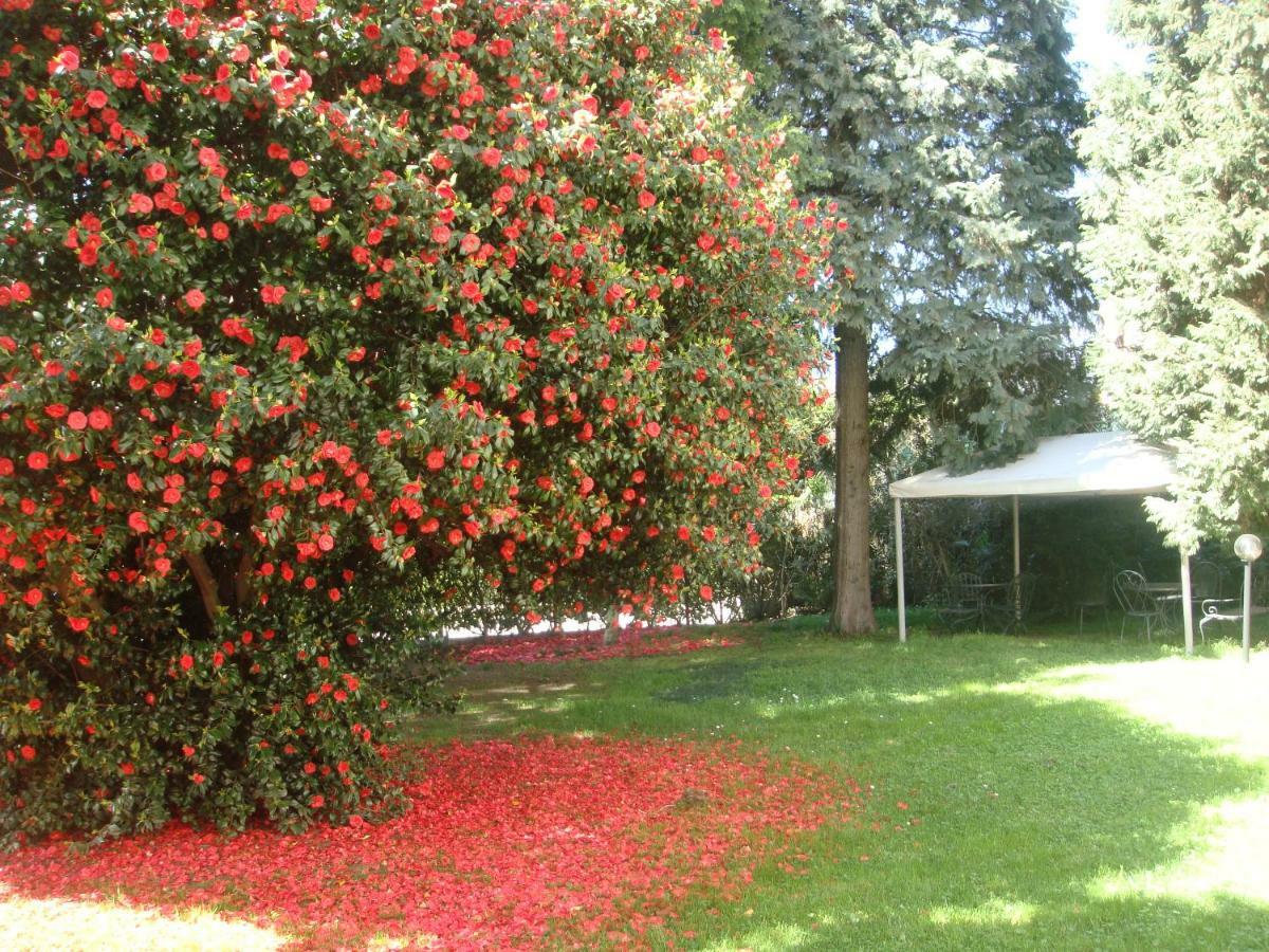 Villa Cardano Maccagno Close To Every Destination Exterior foto